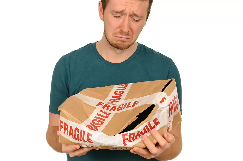 รายงานปัญหาและแนวทางการแก้ไขปัญหาของผู้ใช้บริการขนส่งพัสดุด่วนในประเทศ